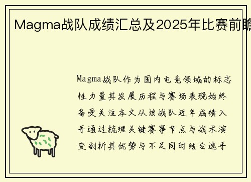 Magma战队成绩汇总及2025年比赛前瞻