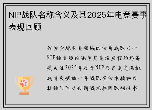 NIP战队名称含义及其2025年电竞赛事表现回顾