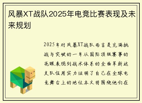 风暴XT战队2025年电竞比赛表现及未来规划